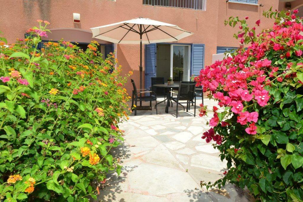 Limnaria Villas Sunny Garden Apartment Paphos Ngoại thất bức ảnh